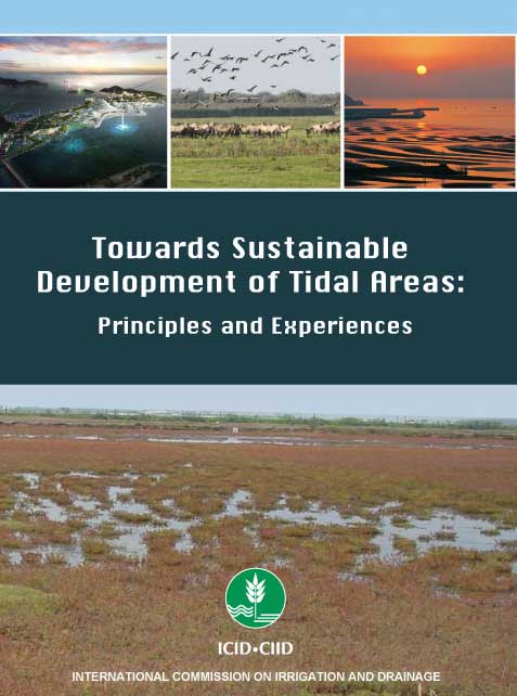 Towards Sustainable Development of Tidal Areas publication