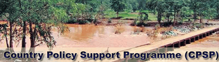 Country Policy Support Programme (CPSP)