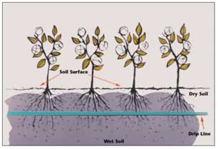 eco_irrigation